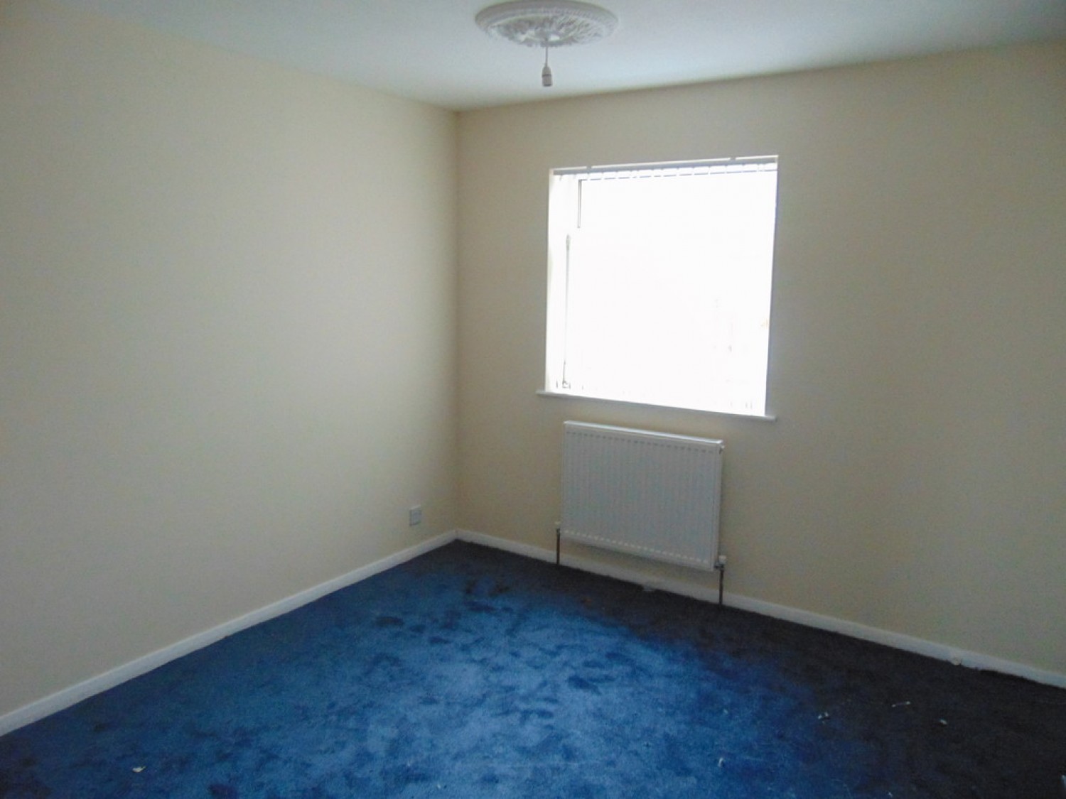 Nelson Avenue, Howden, Livingston