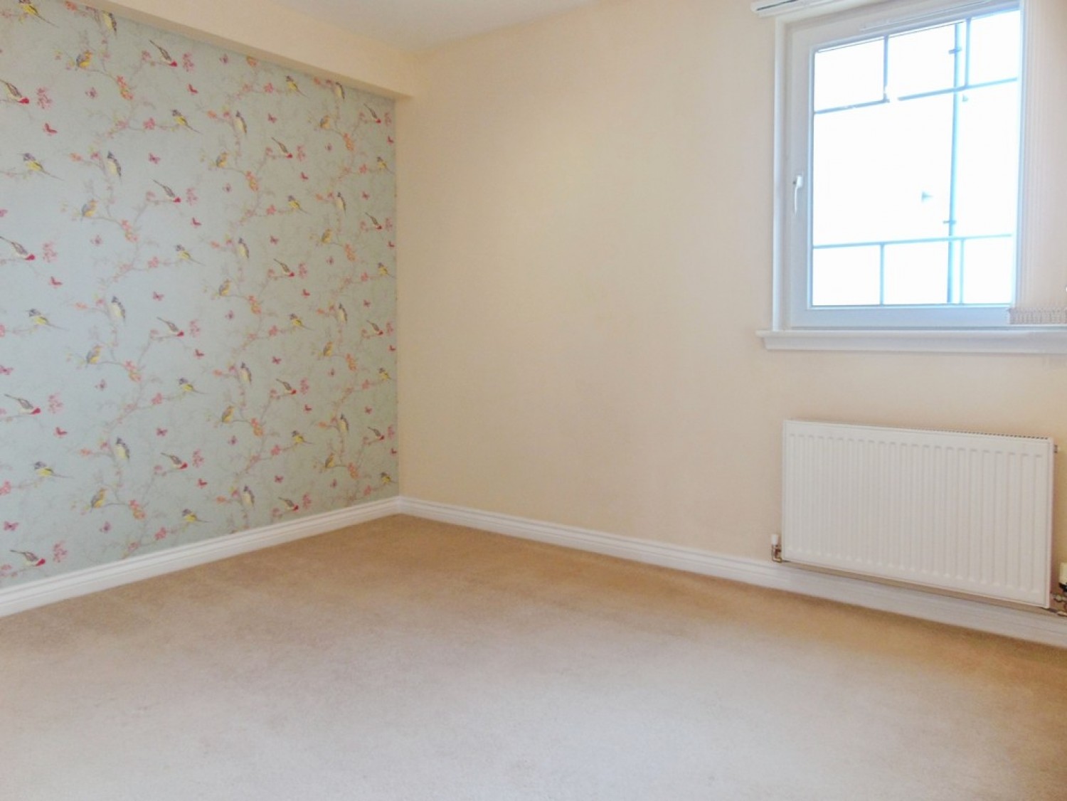 Leyland Road, Bathgate