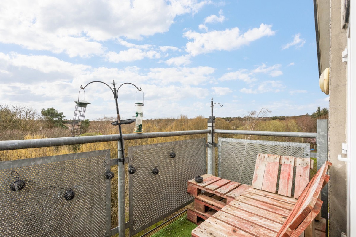 Hawk Brae, Livingston