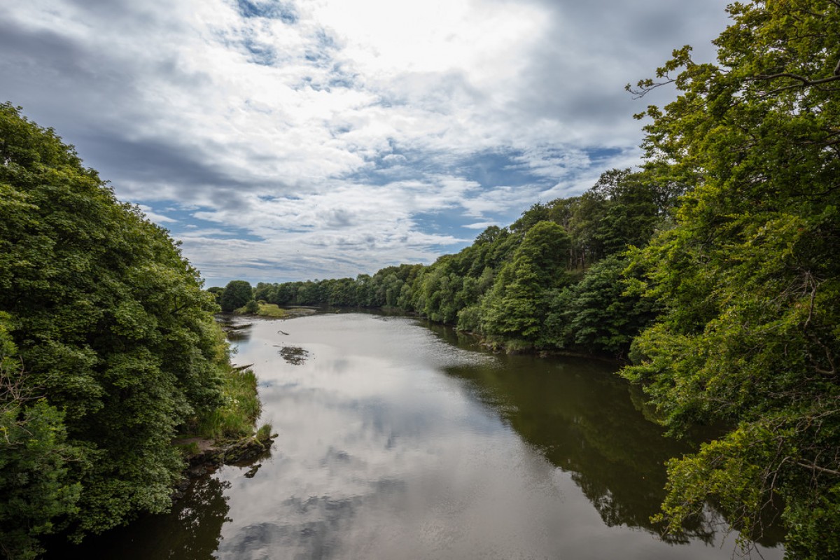 Papermill Avenue, Aberdeen