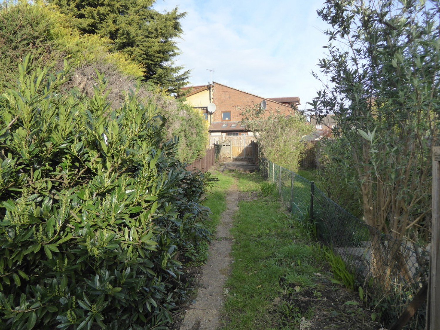 Tavistock Ave, St Albans