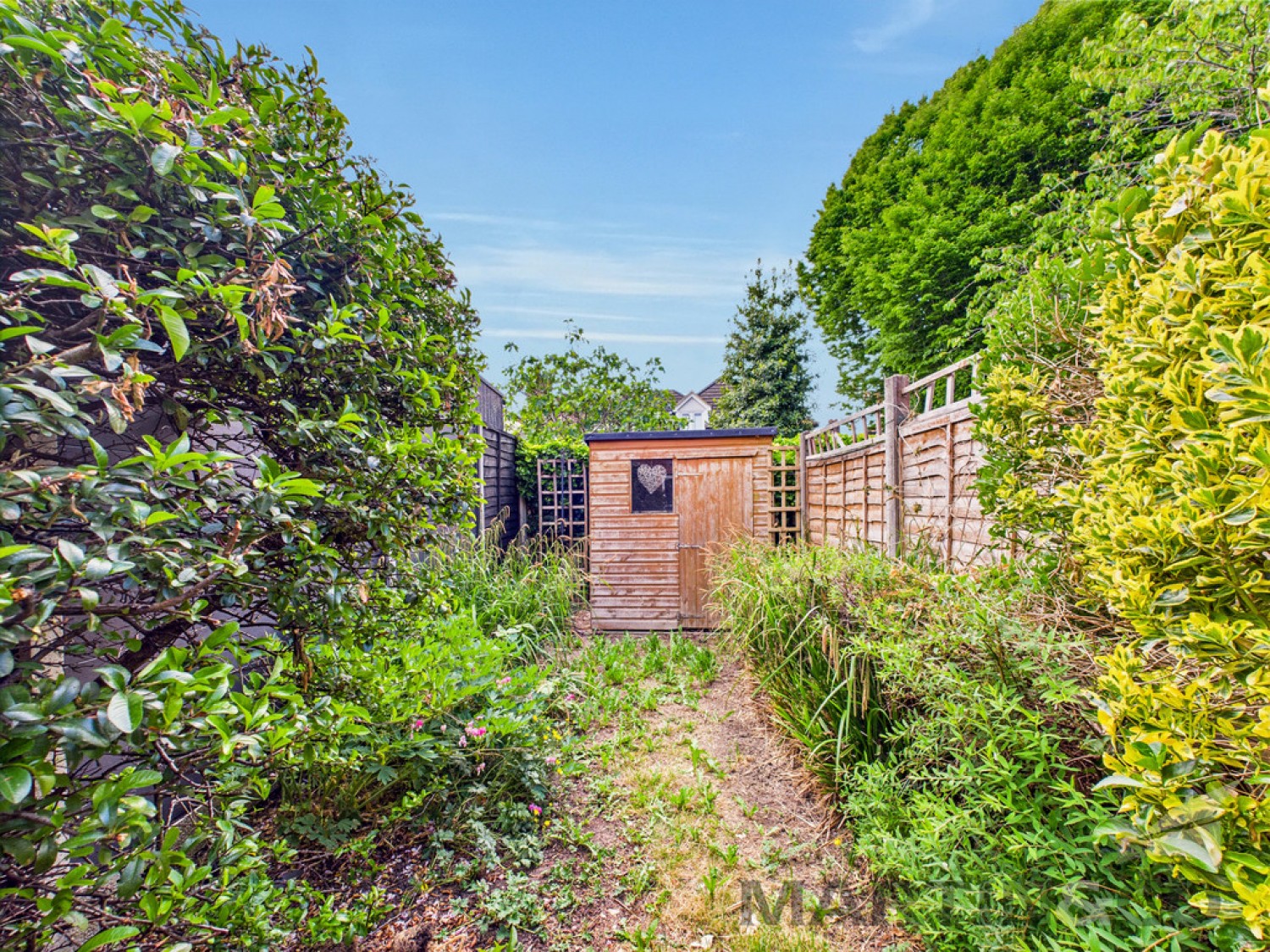 Holmbury St Mary Court, St Albans