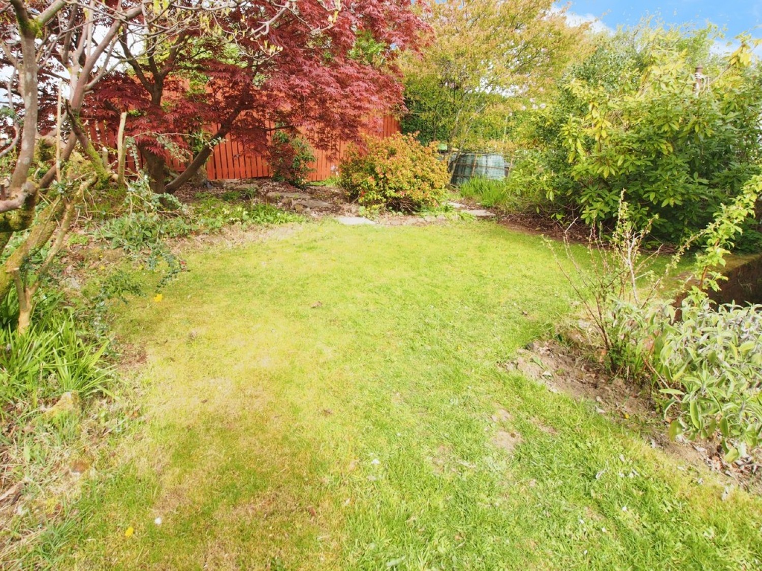 3 bedroom House for Letting 18 Cyprus Avenue