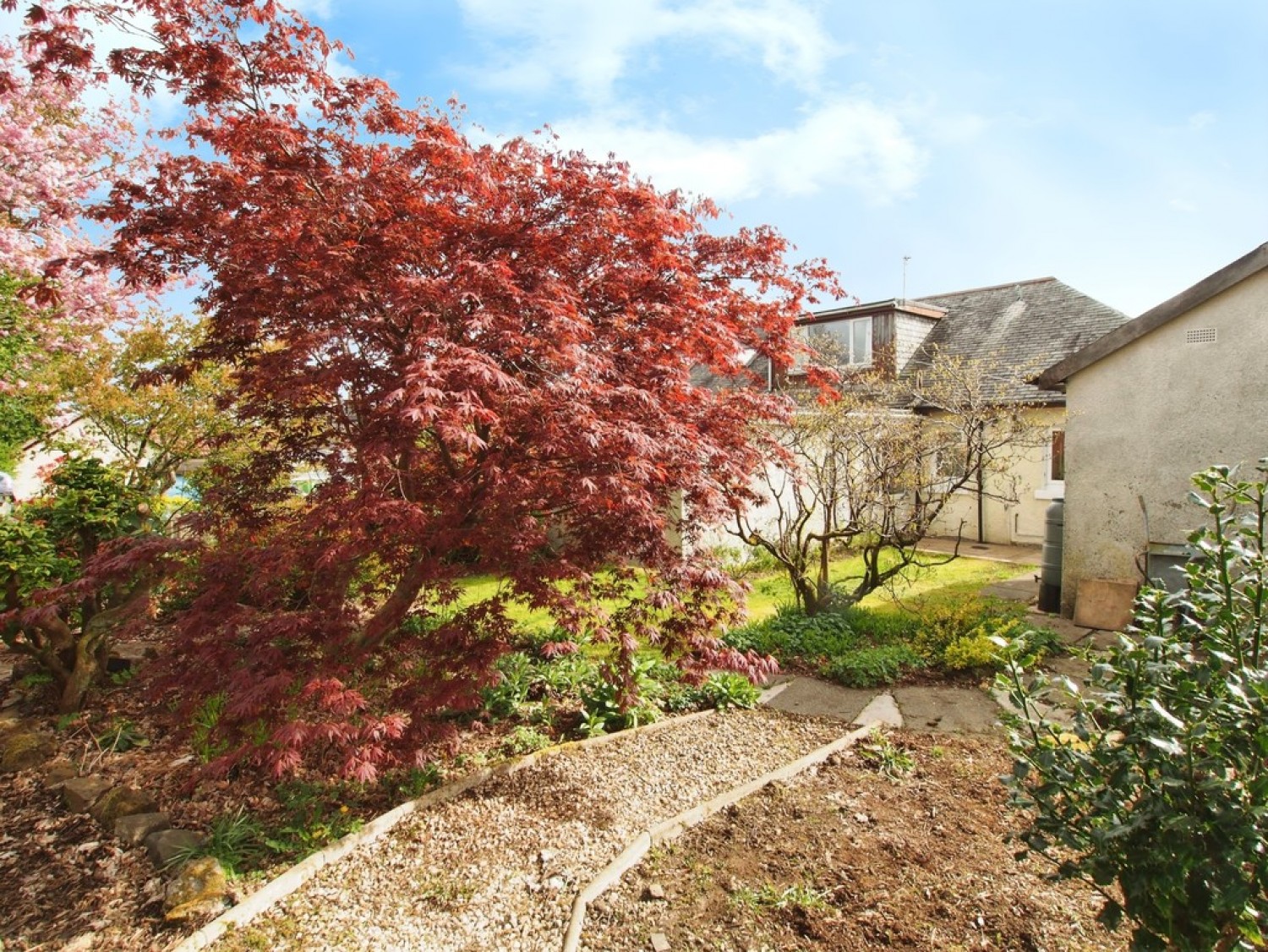 3 bedroom House for Letting 18 Cyprus Avenue