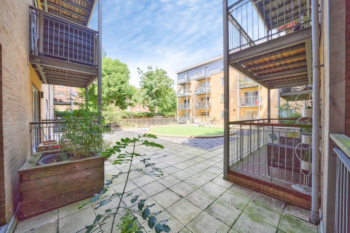 Peckham Grove, London