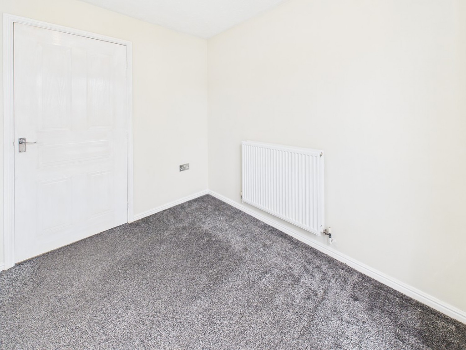 Monica Walk, Freedom Fields