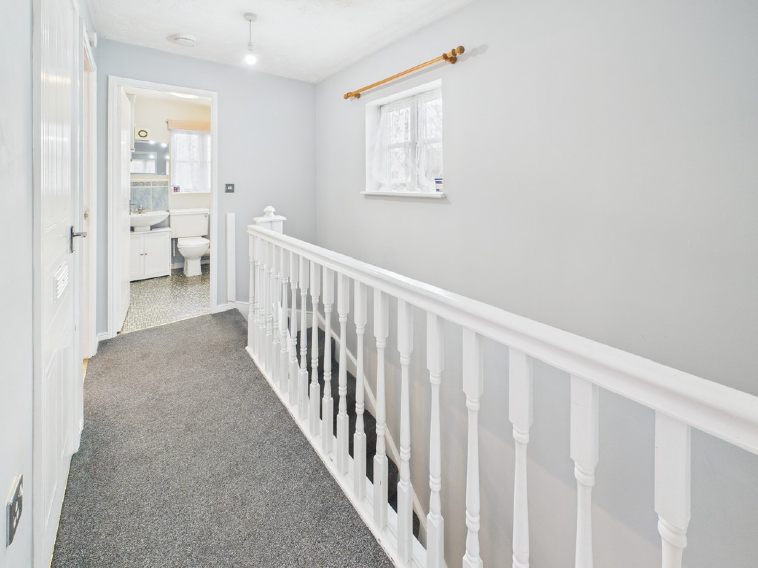 Monica Walk, Freedom Fields