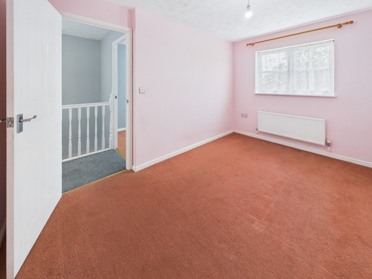 Monica Walk, Freedom Fields