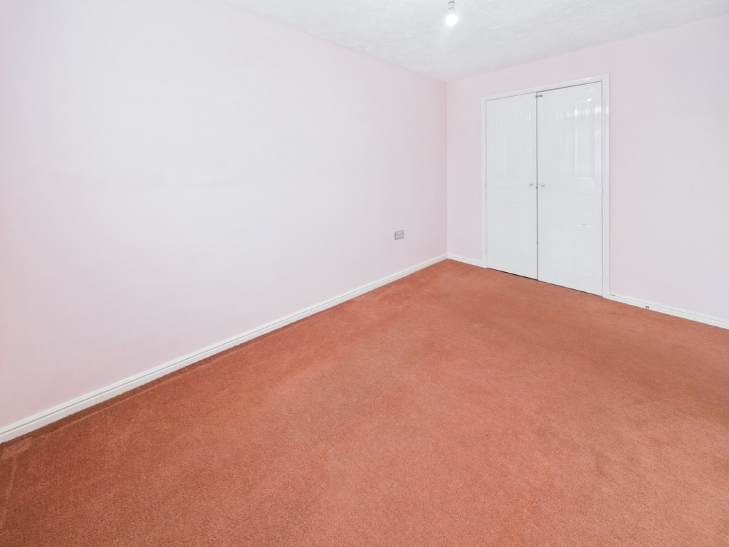 Monica Walk, Freedom Fields