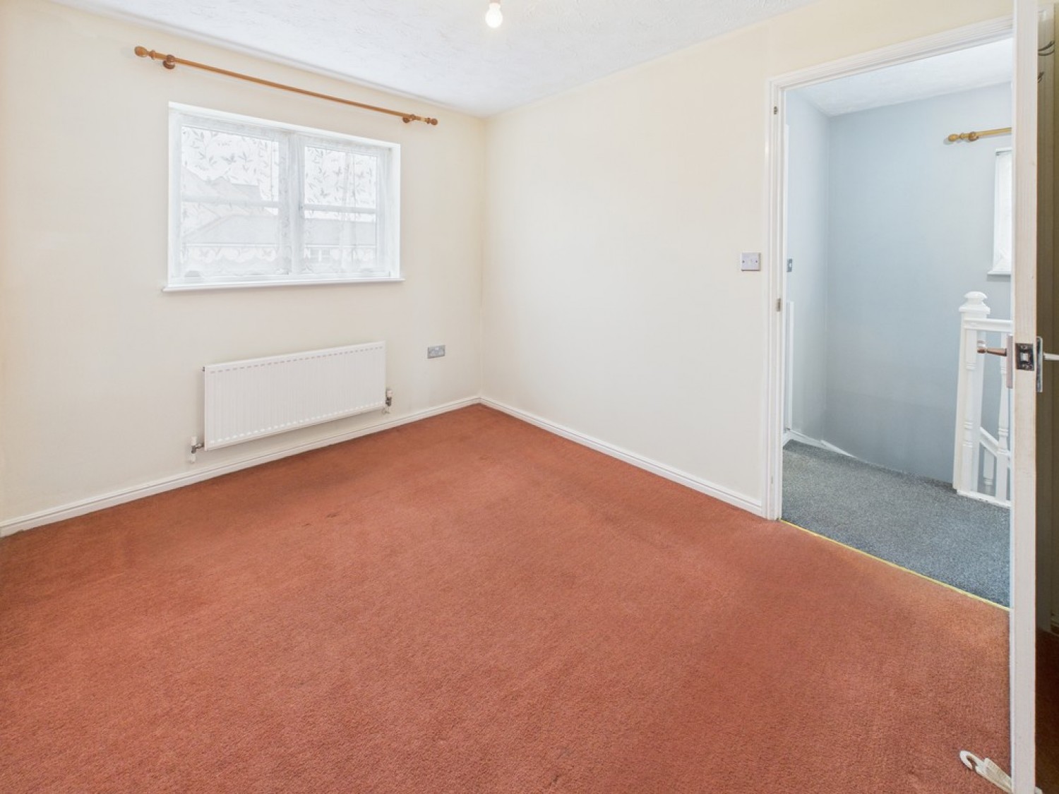 Monica Walk, Freedom Fields