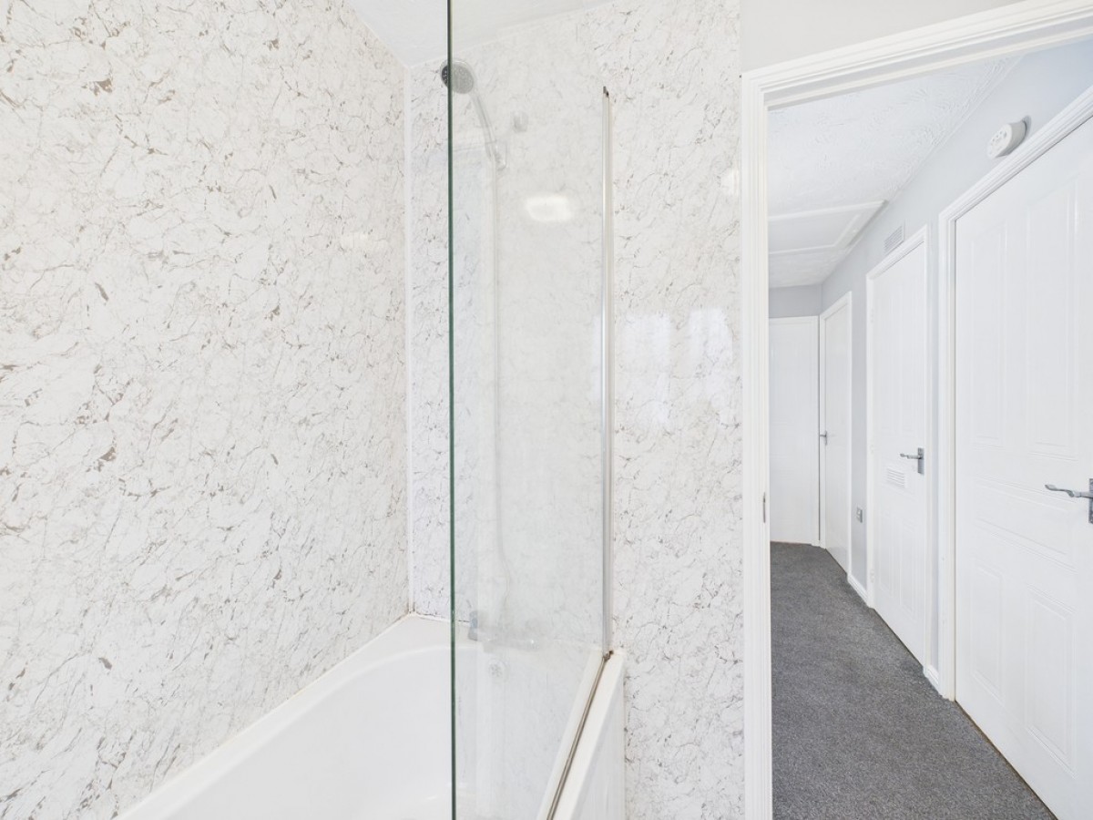 Monica Walk, Freedom Fields