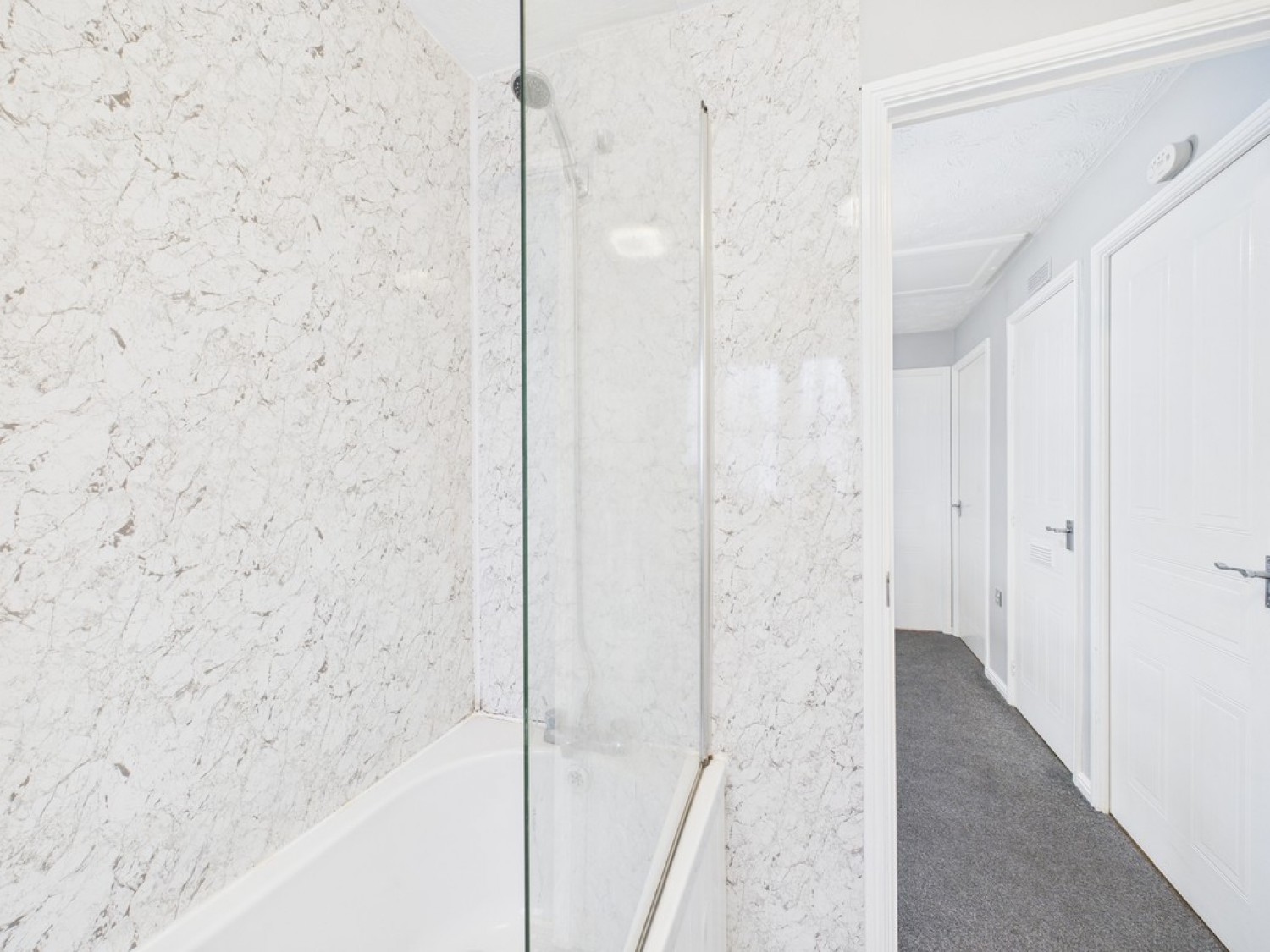 Monica Walk, Freedom Fields