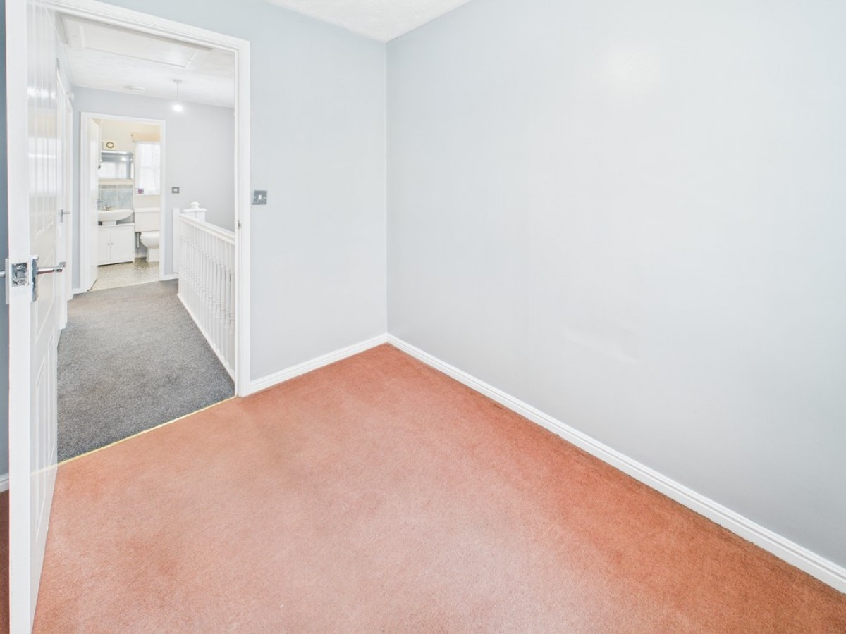 Monica Walk, Freedom Fields