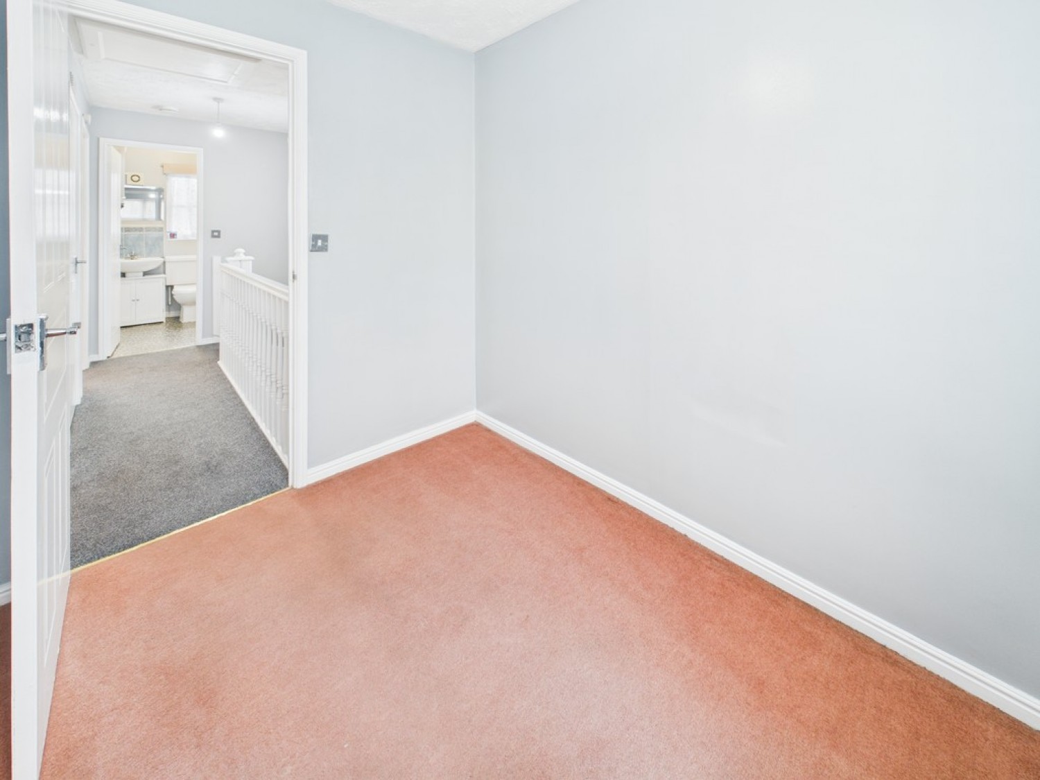 Monica Walk, Freedom Fields