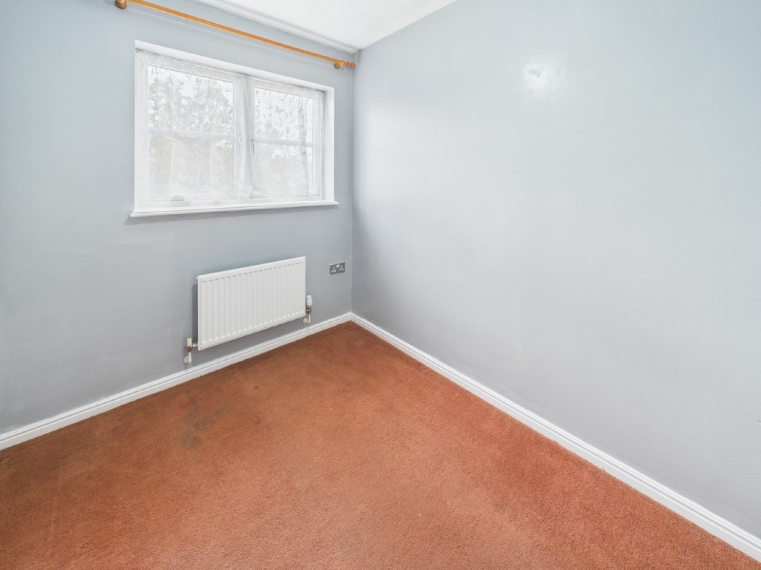 Monica Walk, Freedom Fields