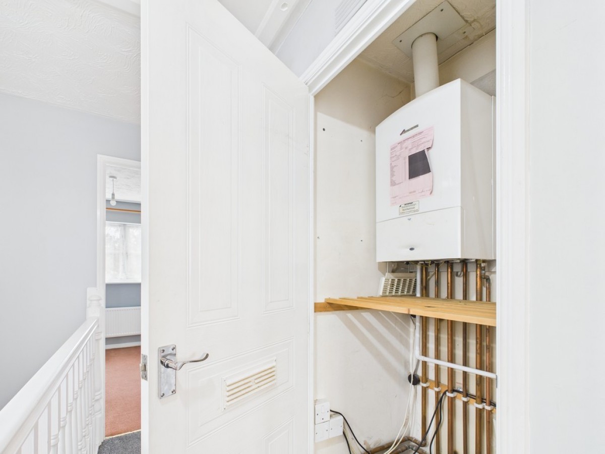 Monica Walk, Freedom Fields