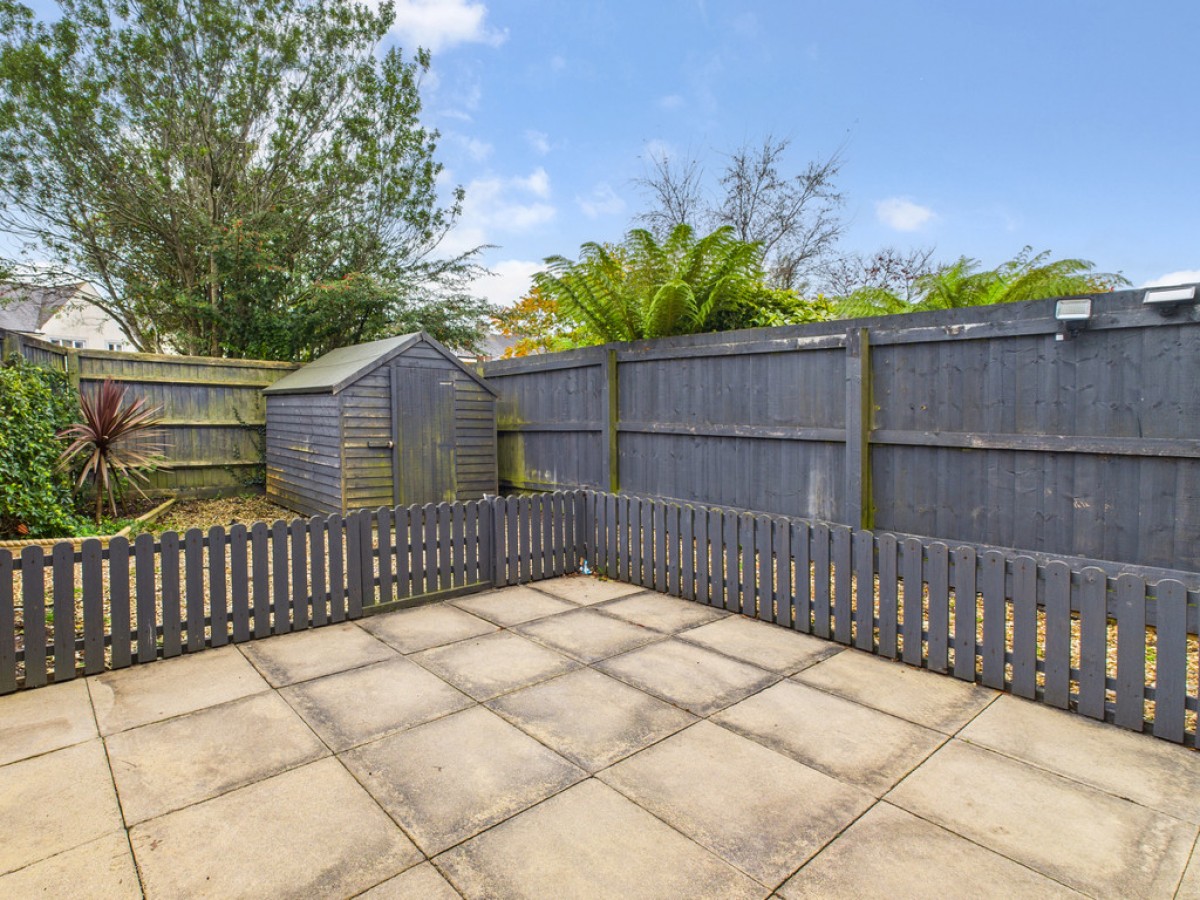 Monica Walk, Freedom Fields