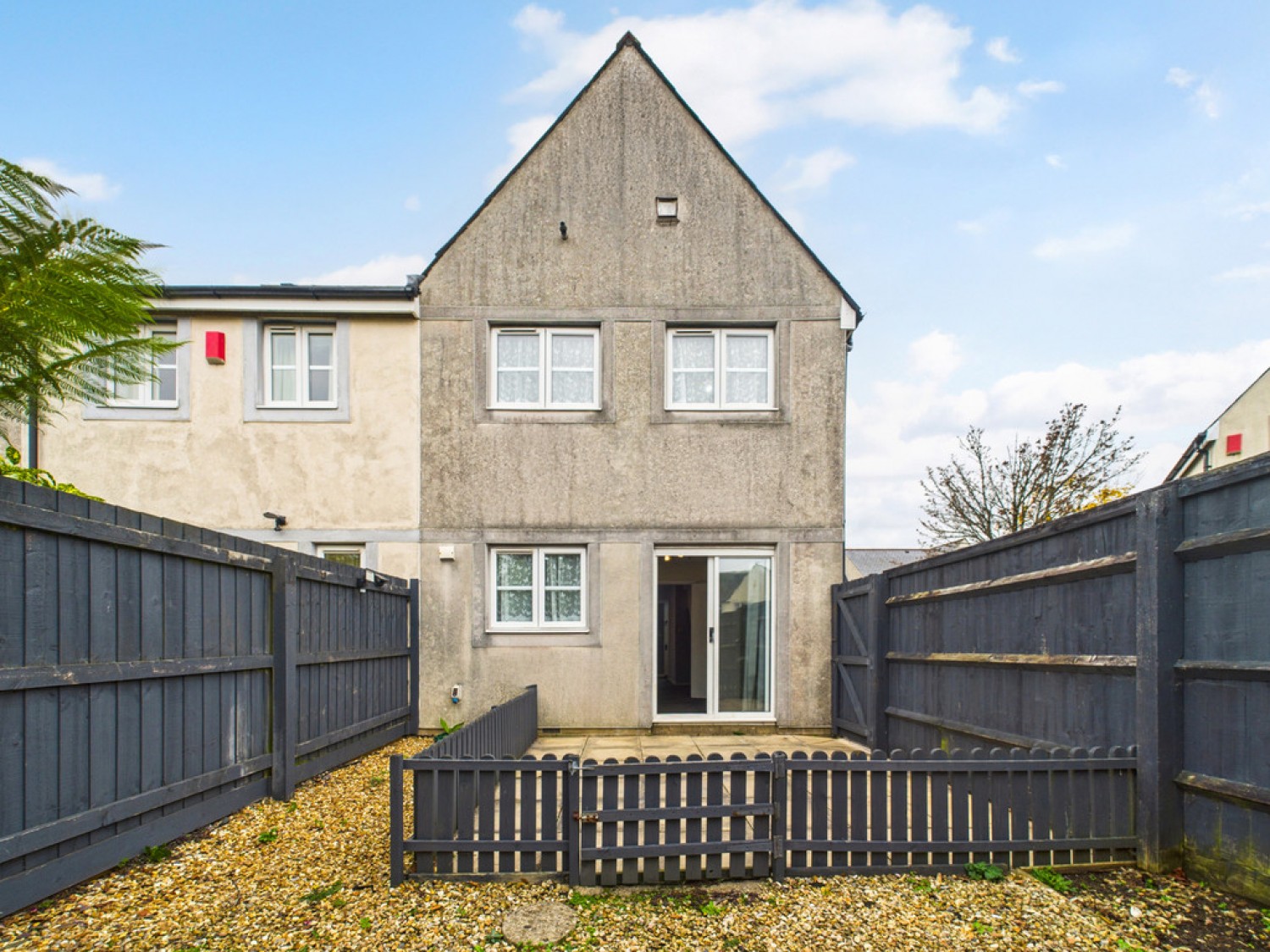 Monica Walk, Freedom Fields