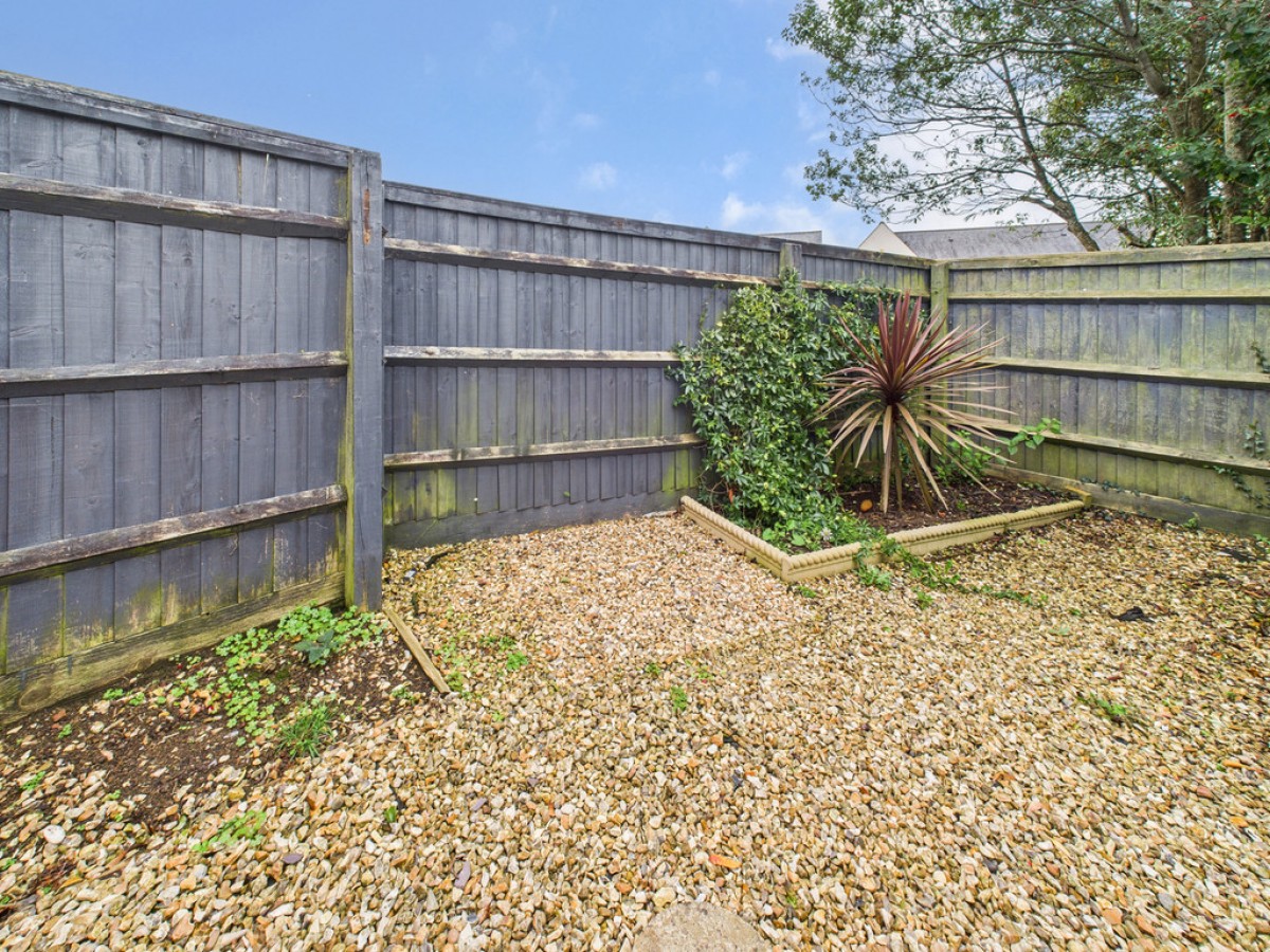 Monica Walk, Freedom Fields