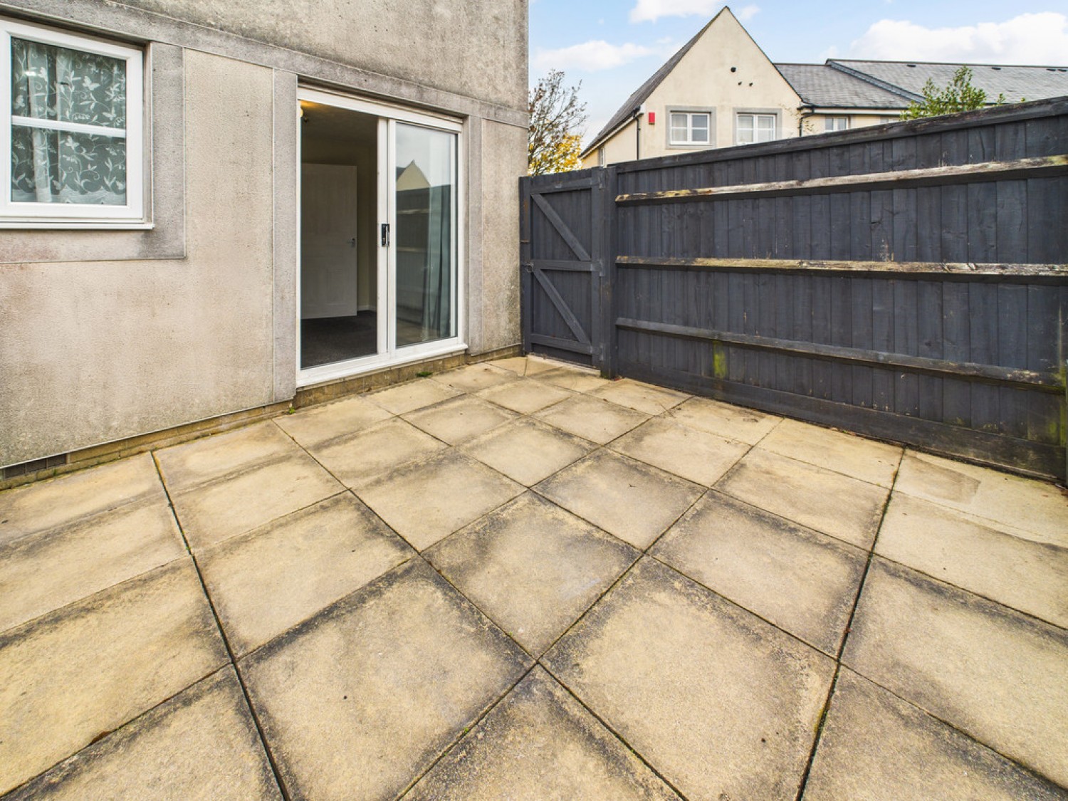 Monica Walk, Freedom Fields