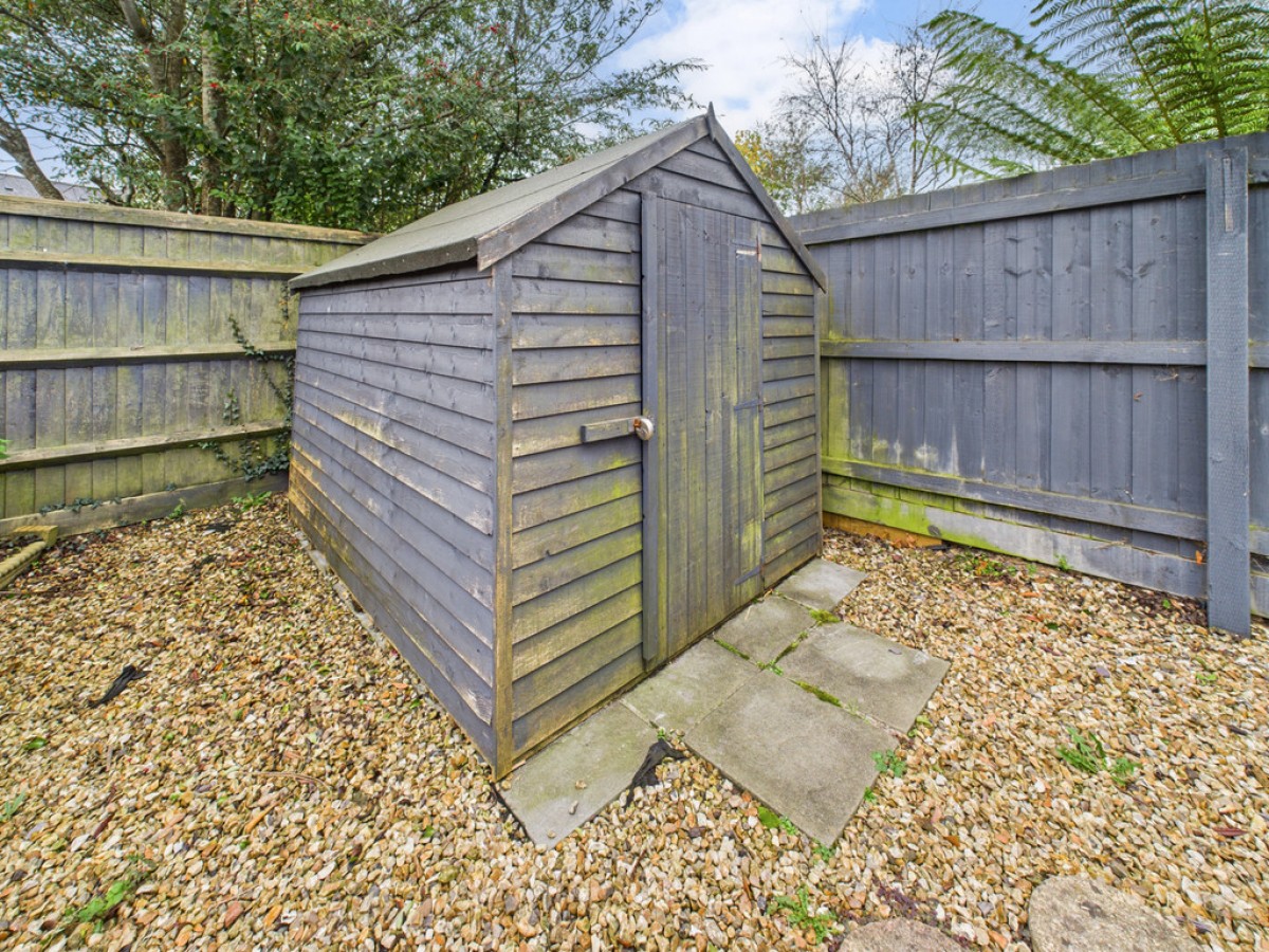 Monica Walk, Freedom Fields