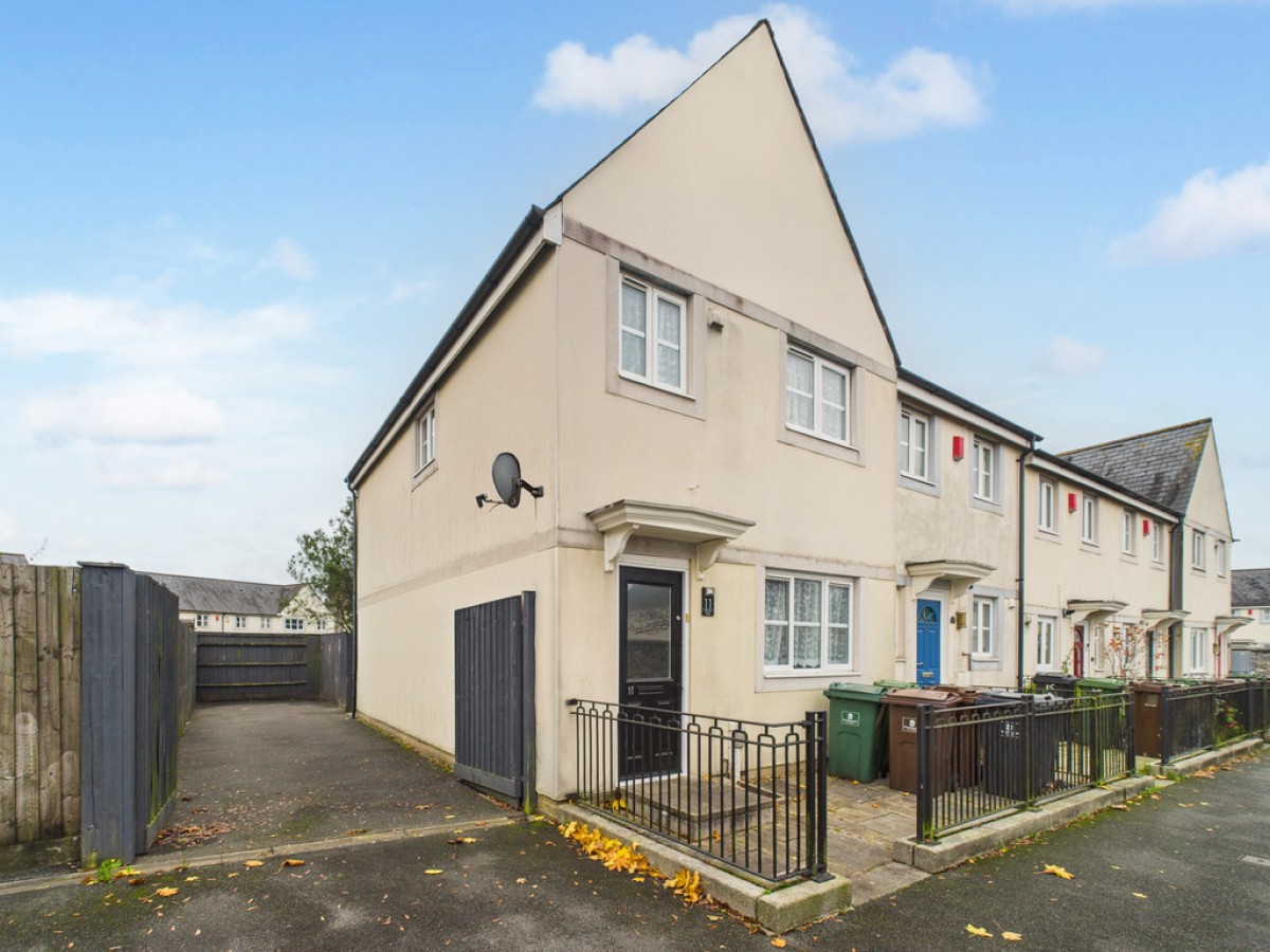 Monica Walk, Freedom Fields