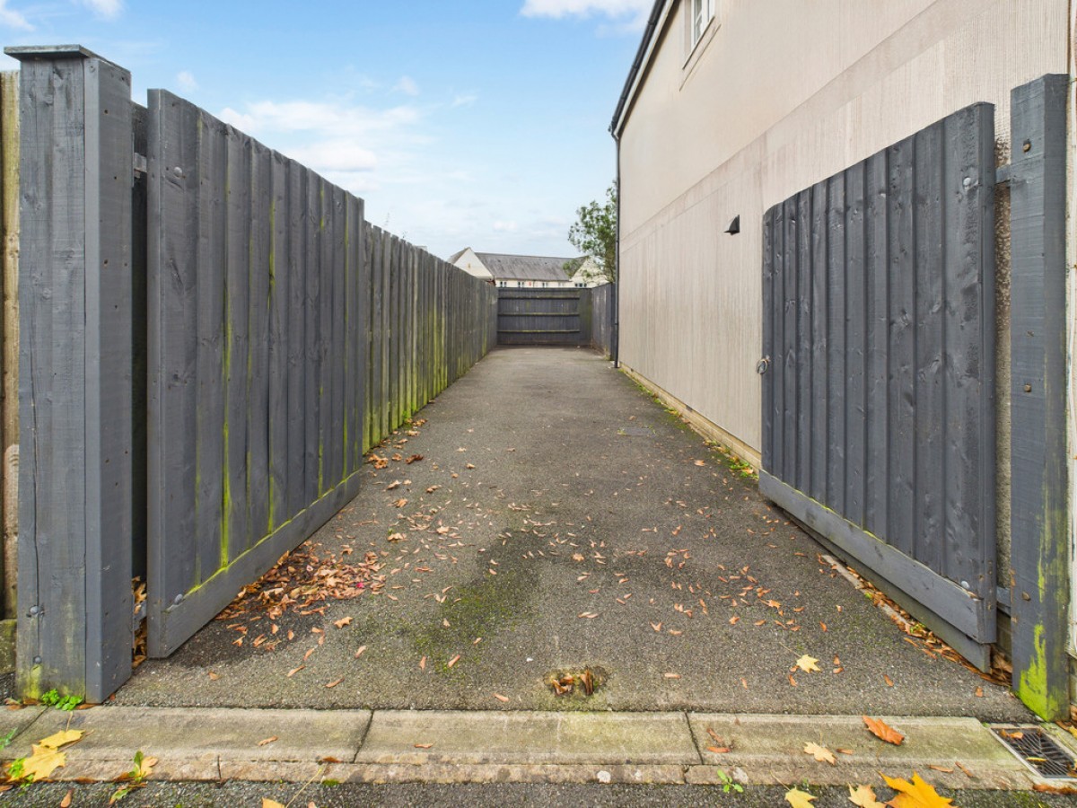 Monica Walk, Freedom Fields