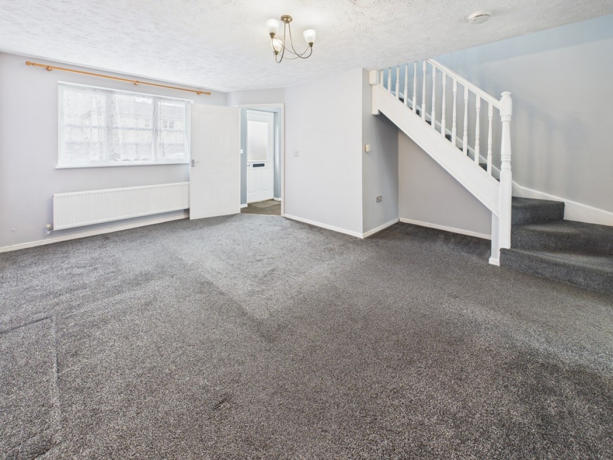 Monica Walk, Freedom Fields