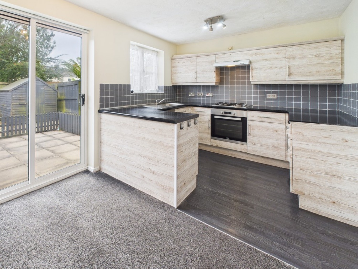 Monica Walk, Freedom Fields