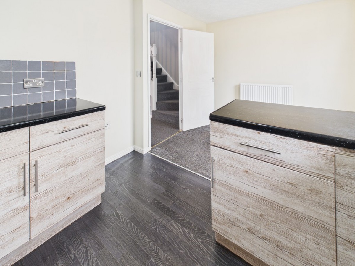 Monica Walk, Freedom Fields