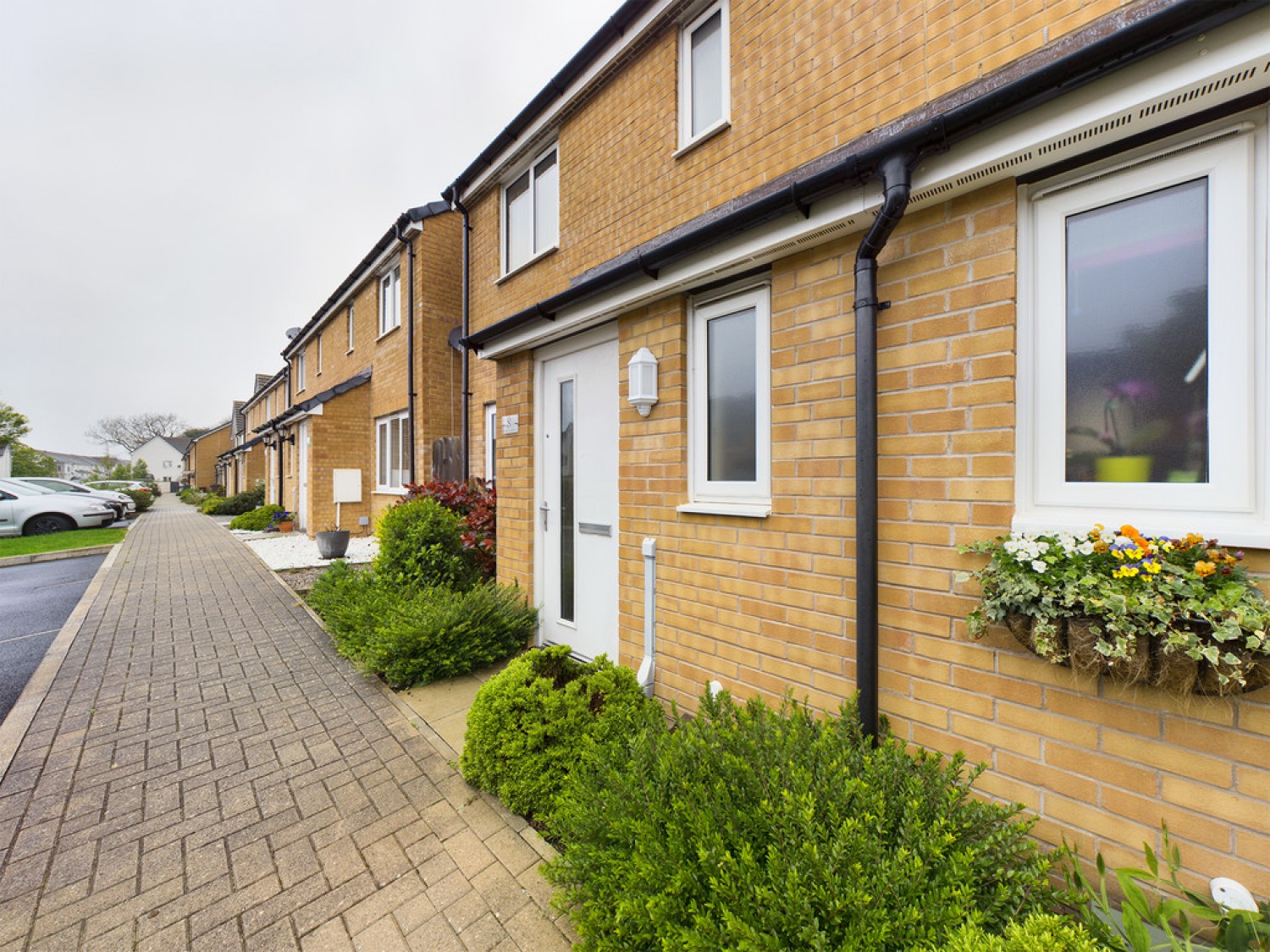 Bluebell Street, Palmerston Heights