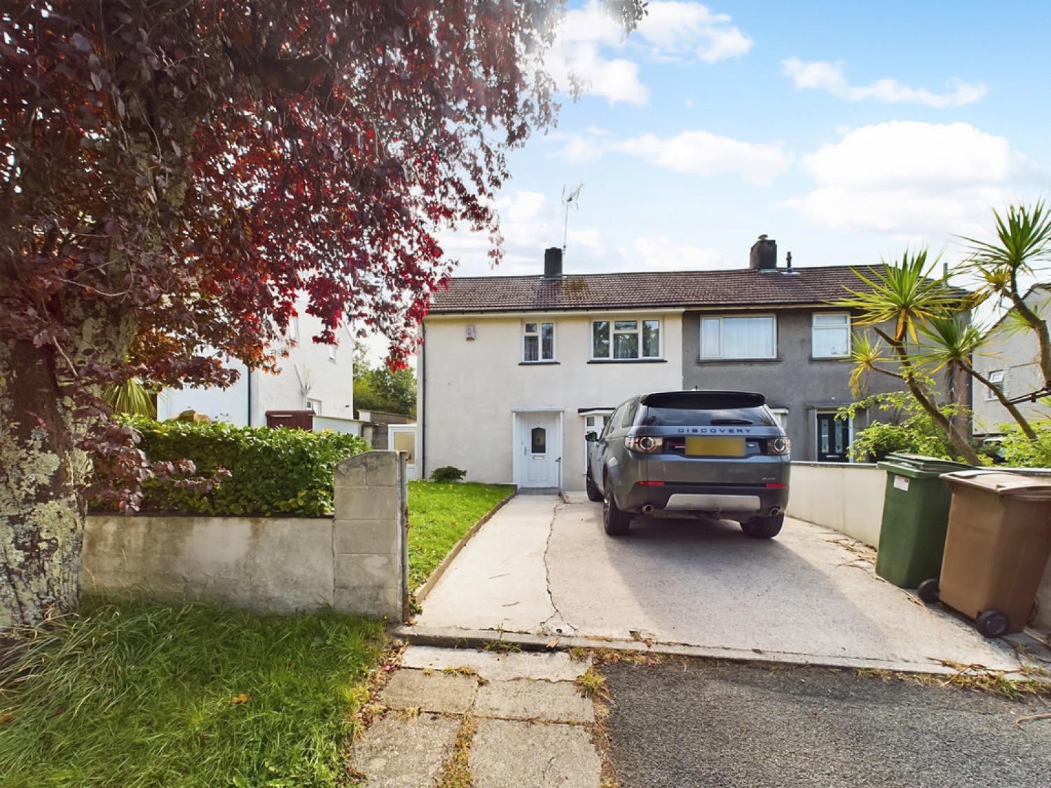 Butt Park Road, Honicknowle