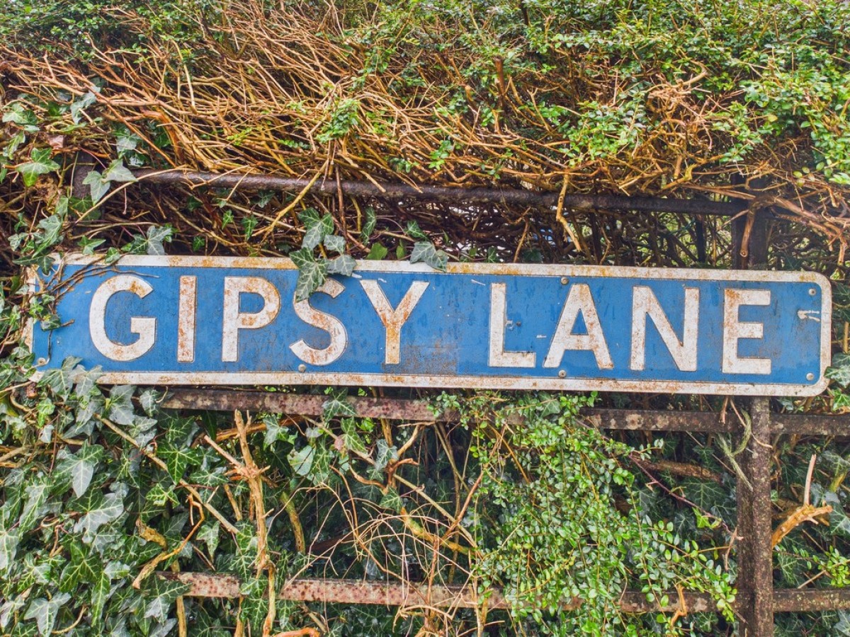 Gipsy Lane, Buckfastleigh
