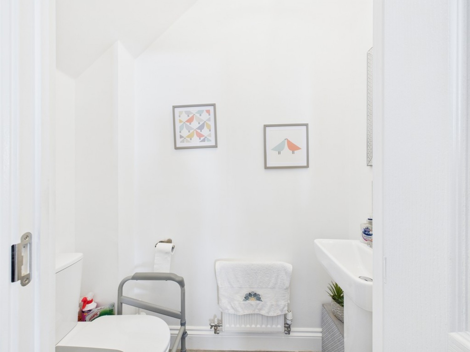 Cygnus Mews, Sherford