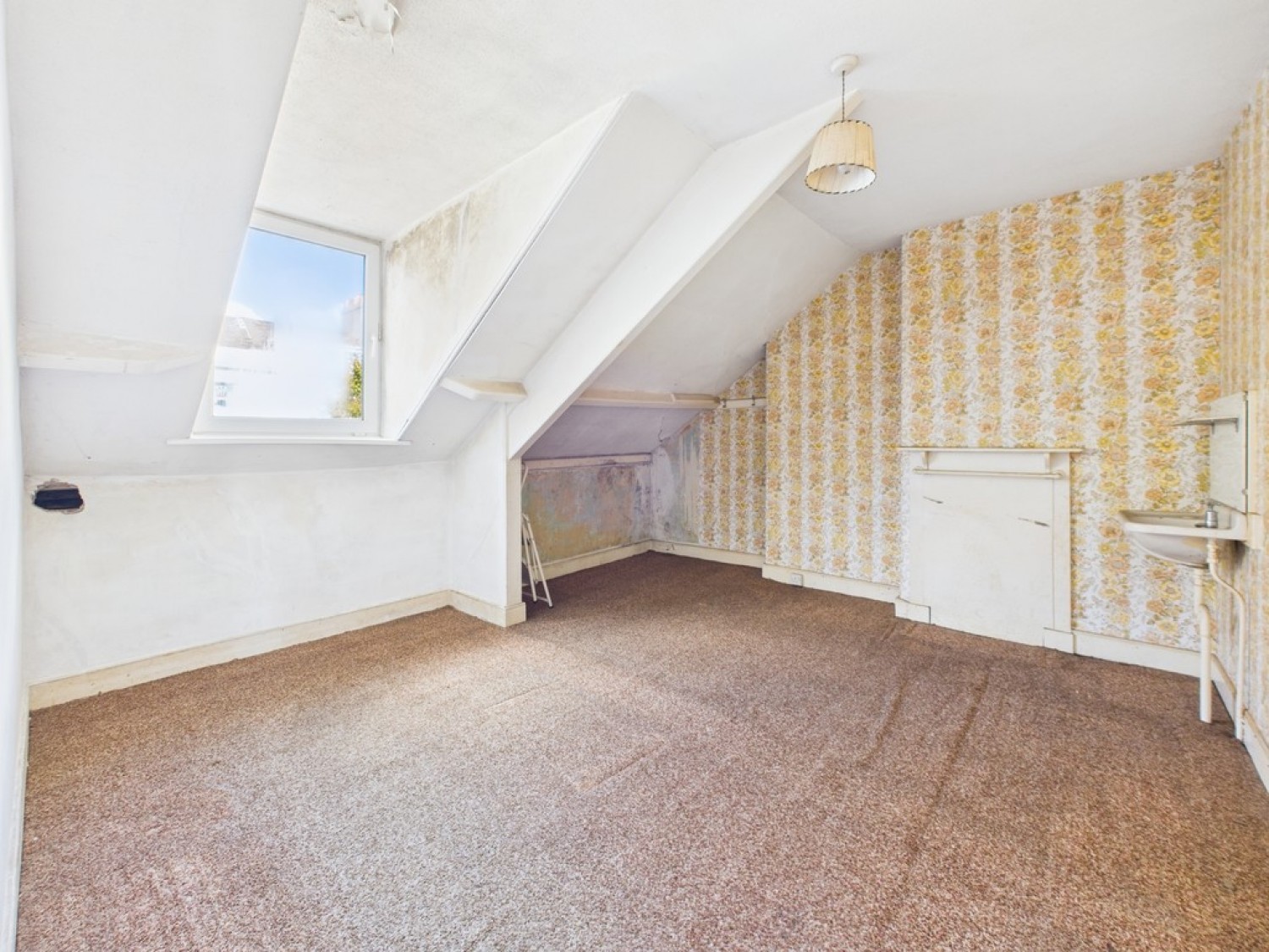 North Road East, Mutley