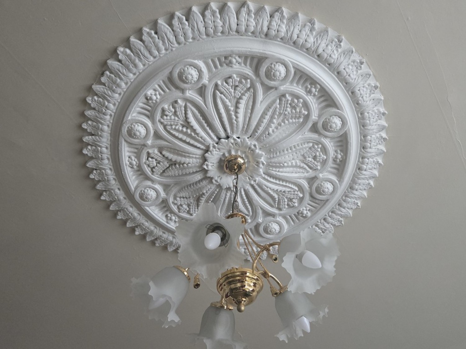 5 bedroom House in Beechwood Avenue, Mutley, Plymouth