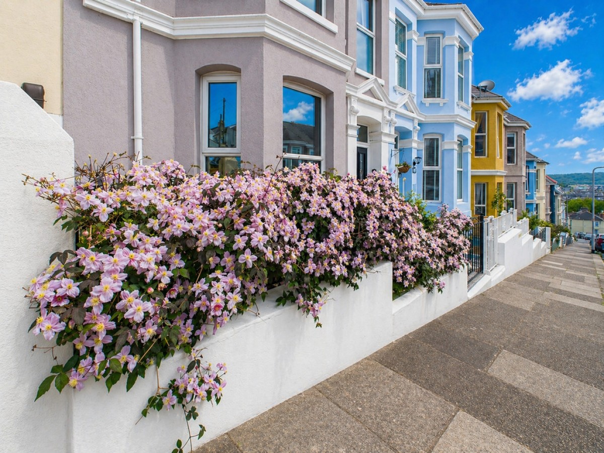 Cecil Avenue, St Judes, Plymouth