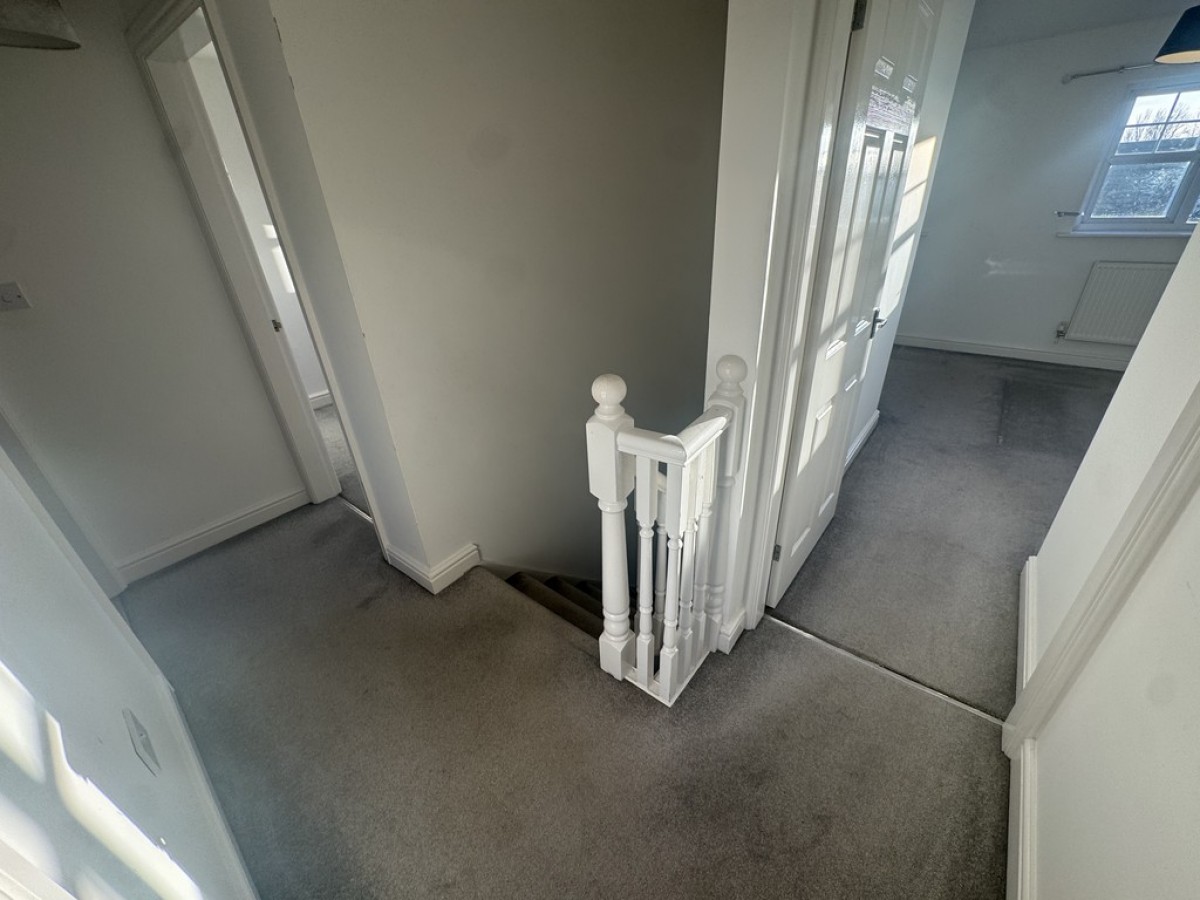 156a Chestnut Drive South