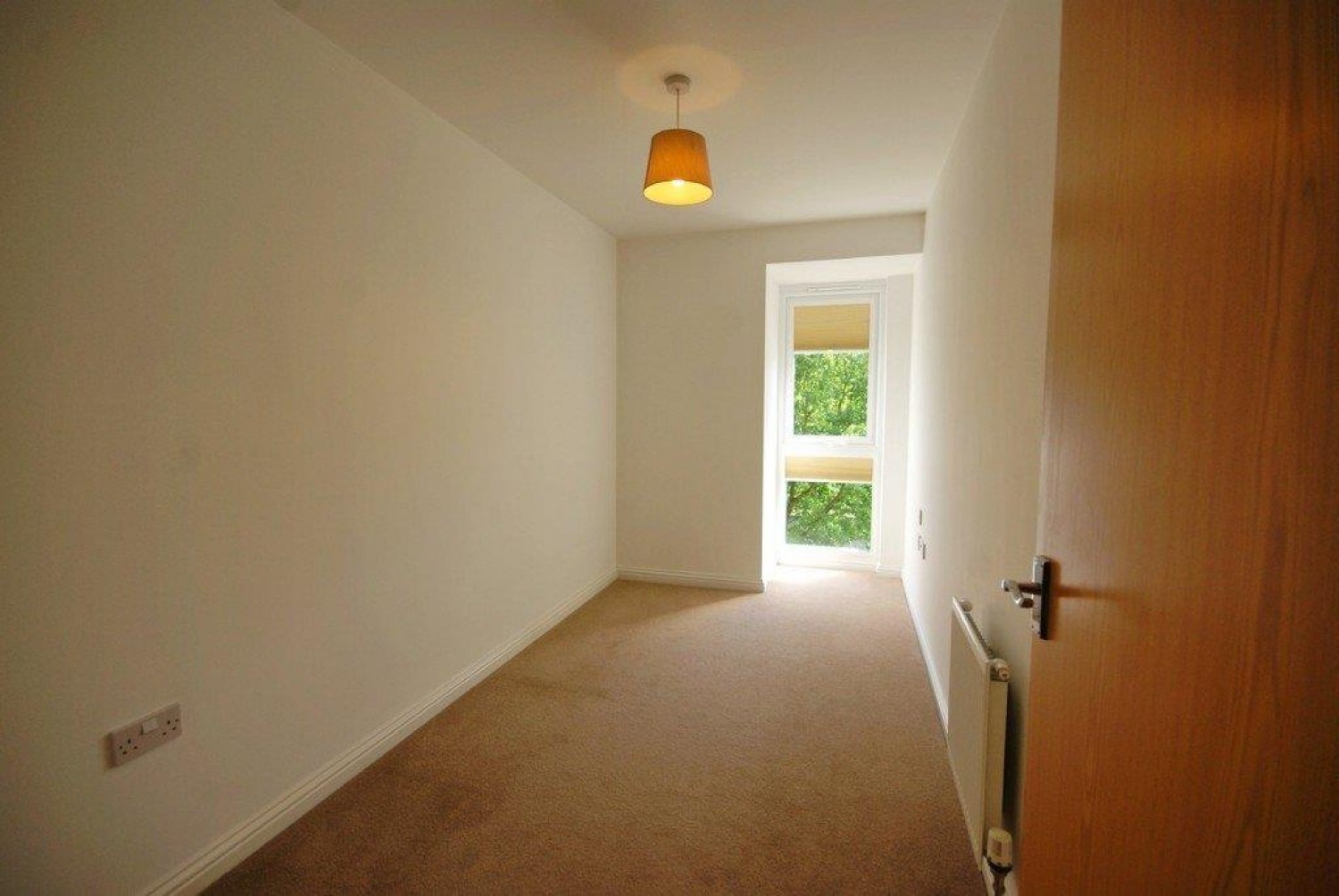 Angelica Road, Lincoln