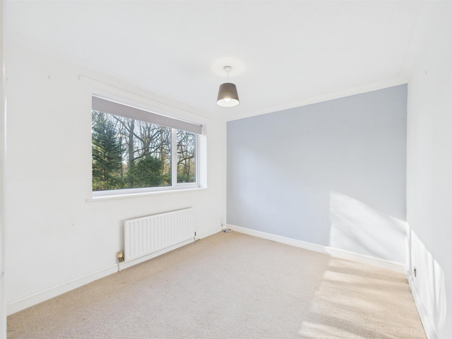 Woodvale Avenue, Lincoln