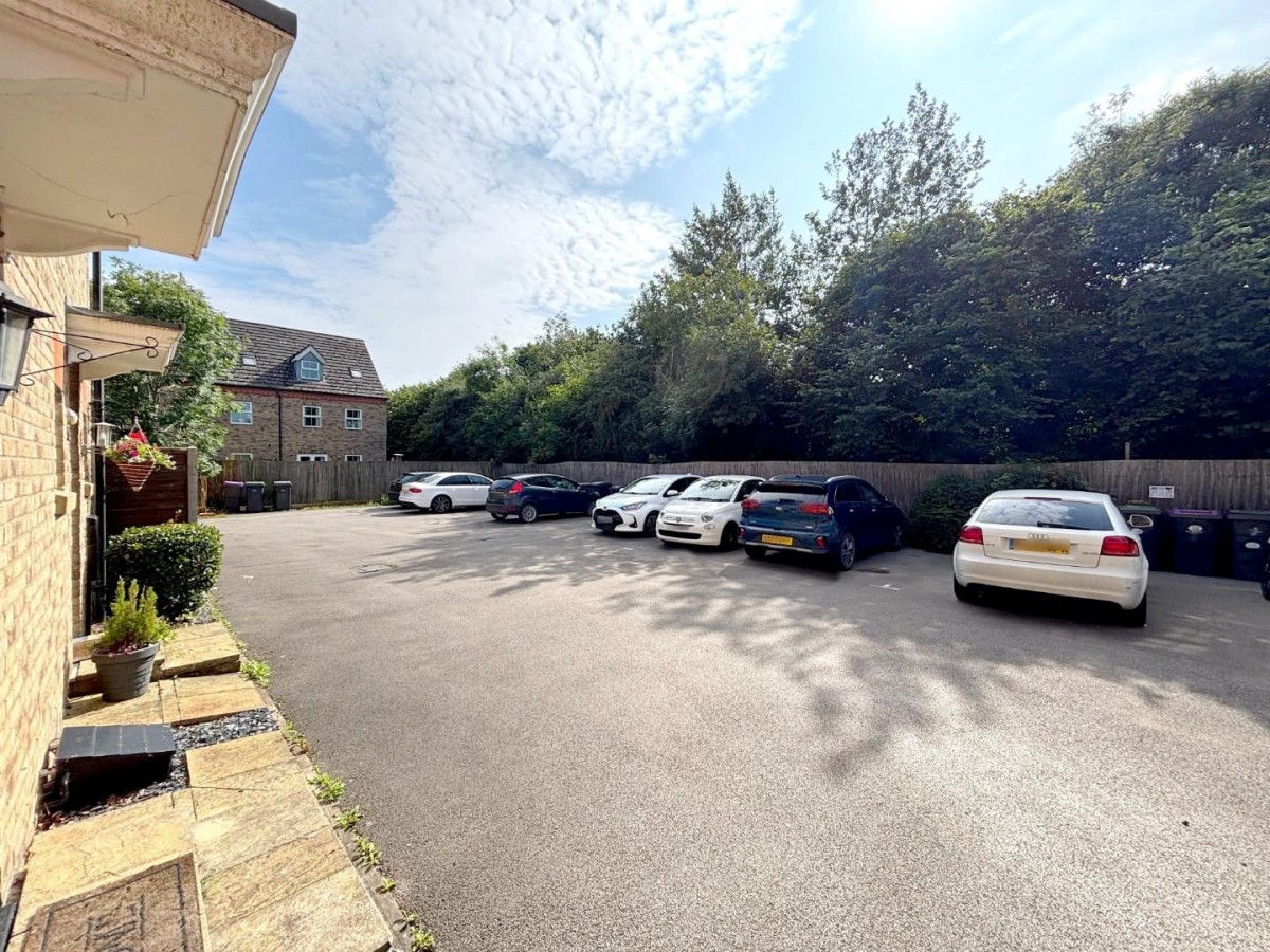 Squirrell Chase, Witham St Hughes