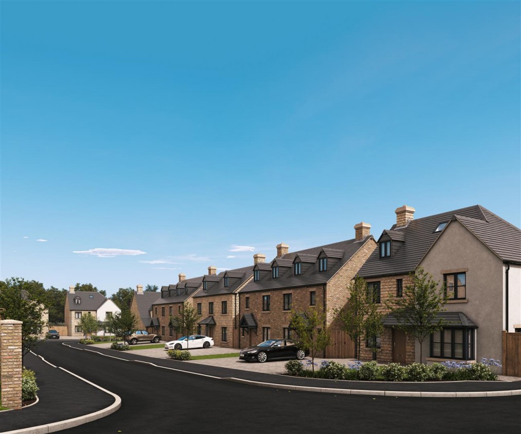 Bluebell Meadow, Woodhouses Village, Failsworth