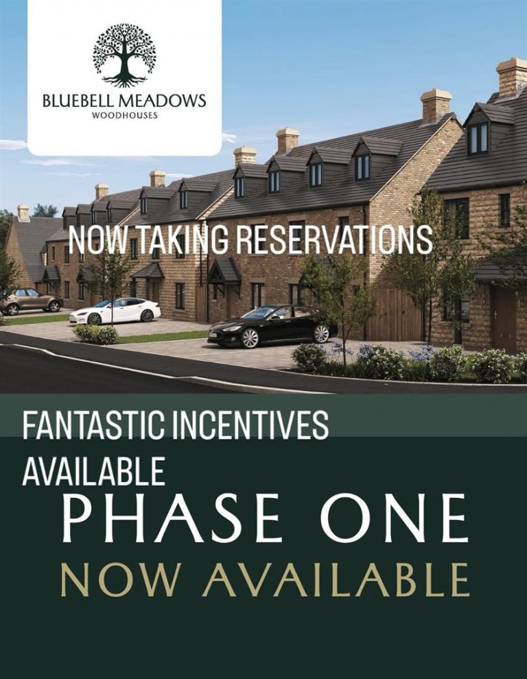 Bluebell Meadow, Woodhouses Village, Failsworth