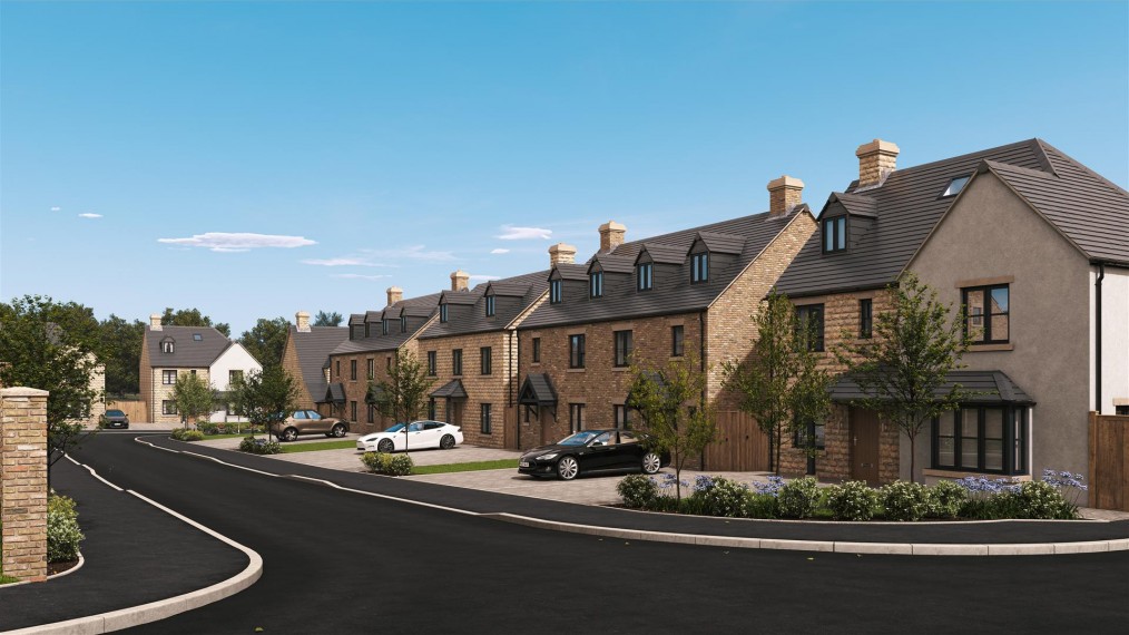 Bluebell Meadow, Woodhouses Village, Failsworth