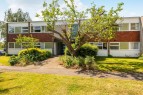 15 Milton Court Parkleys, Richmond