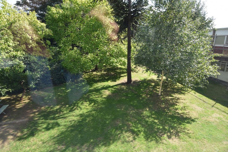 4 Tennyson Court Parkleys, Richmond