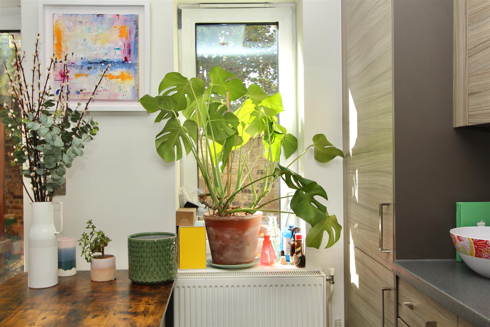 Image for Saxony Court, E5