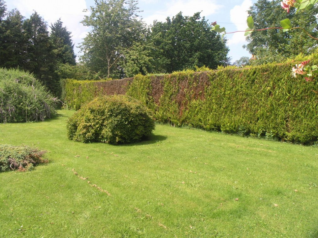 The Green, Stadhampton