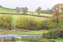 Builth Wells, Powys