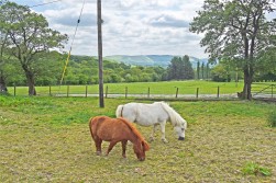 Nantmel, Rhayader, Powys